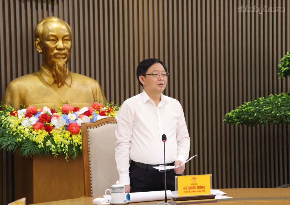 Member of the Party Central Committee, Deputy Prime Minister Ho Quoc Dung requested to review and handle issues related to land unit prices, land price lists, and land rents. Photo: VGP