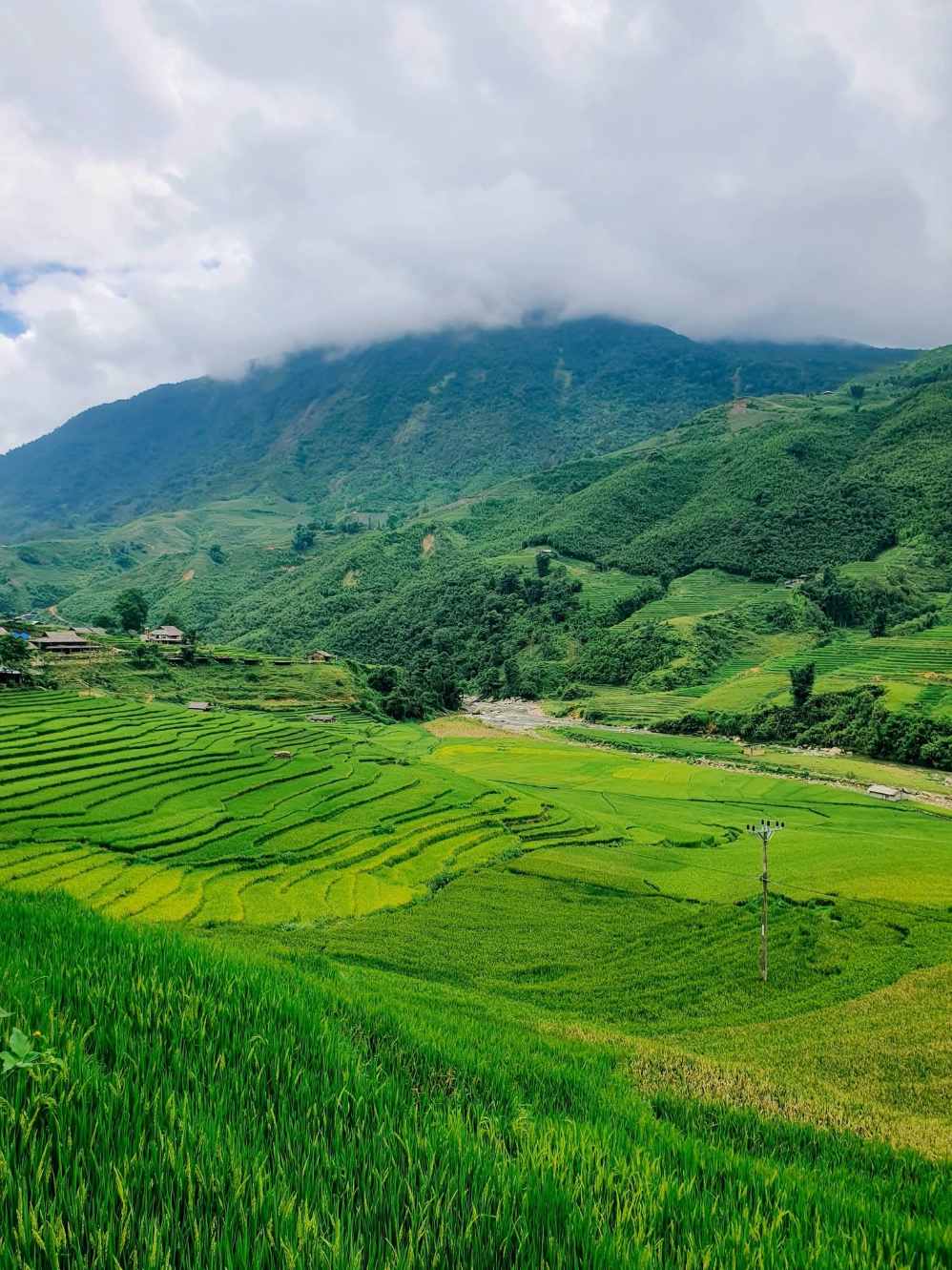 Những thửa ruộng bậc thang trải dài theo sườn núi.