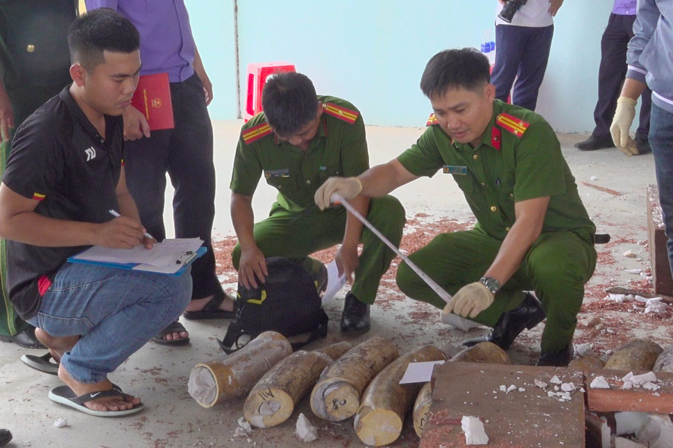 Công an tỉnh Gia Lai phát hiện gần 1,2 tấn ngà voi giấu trong các hộp gỗ nhập khẩu từ Cộng hòa Congo, tập kết tại Cảng Quy Nhơn. Ảnh: Công an cung cấp