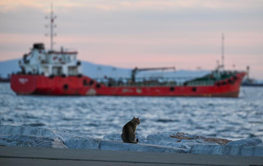 Marmara Sea in Istanbul, Turkey. Marmara Sea is an inland sea connecting the Black Sea and the Aegean Sea through the Bosphorus and Dardanelles Straits. Photo: Xinhua