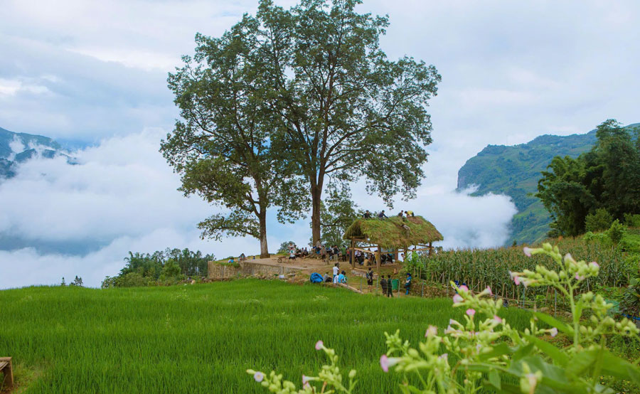 Y Tý mang nét đẹp bình dị