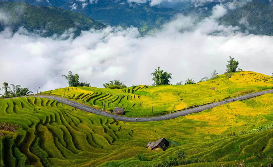 Cung đường xen giữa ruộng bậc thang, một điểm du lịch nổi tiếng của Y Tý. 