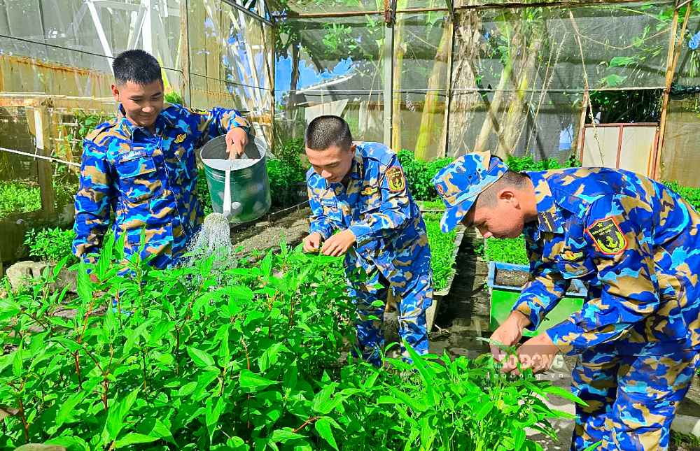 Các chiến sĩ trên đảo Trường Sa Đông chăm sóc những luống rau xanh. Ảnh: Nguyễn Trường 