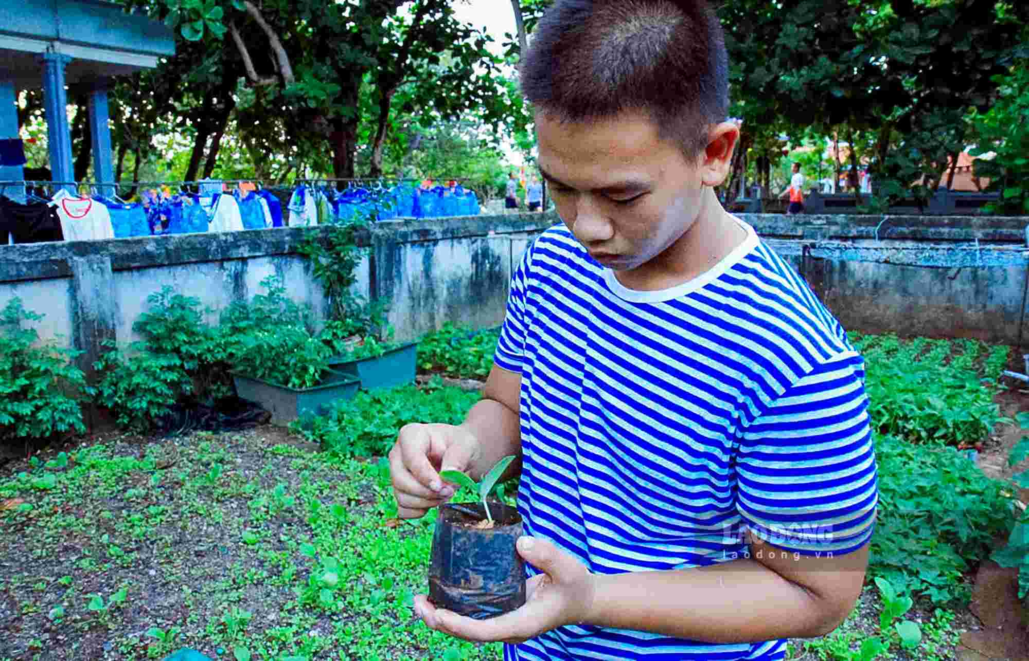 Để có được những vườn rau xanh tốt, quân và dân trên đảo sử dụng hệ thống nhà che chắn gió, cọc lưới và giải pháp tưới tiết kiệm nước ngọt để bảo vệ cây non.  