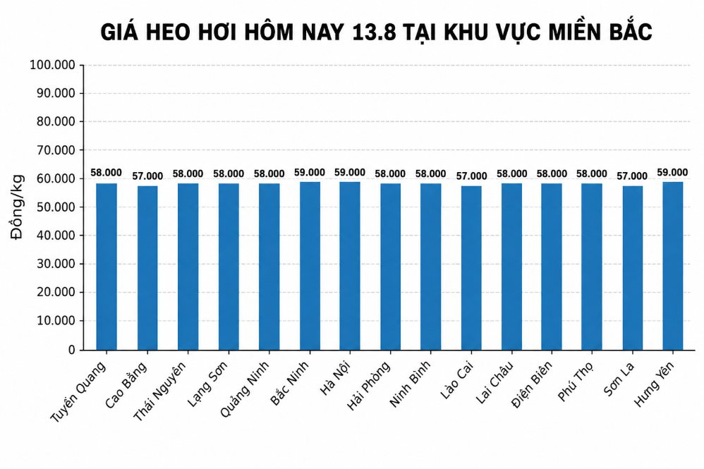 Giá heo hơi hôm nay 13.8 tại khu vực miền Bắc. Đồ họa sử dụng AI