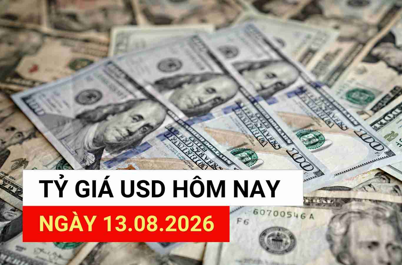 USD exchange rate today August 13: Continues to rebound