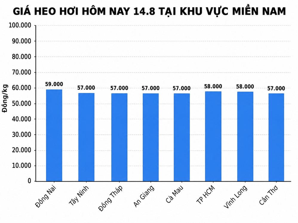 Giá heo hơi hôm nay 14.8 ở khu vực miền Nam. Đồ họa sử dụng AI