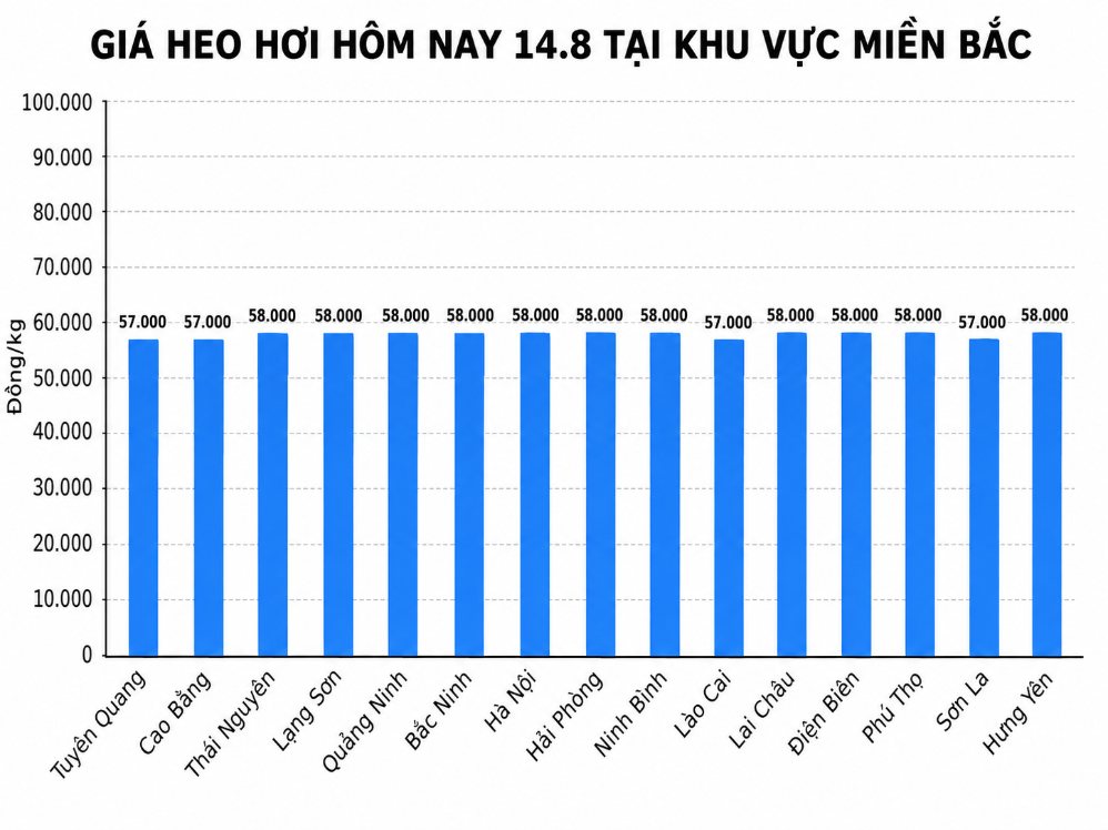 Giá heo hơi hôm nay 14.8 ở khu vực miền Bắc. Đồ họa sử dụng AI