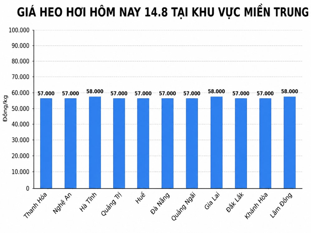 Giá heo hơi hôm nay 14.8 ở khu vực miền Trung. Đồ họa sử dụng AI