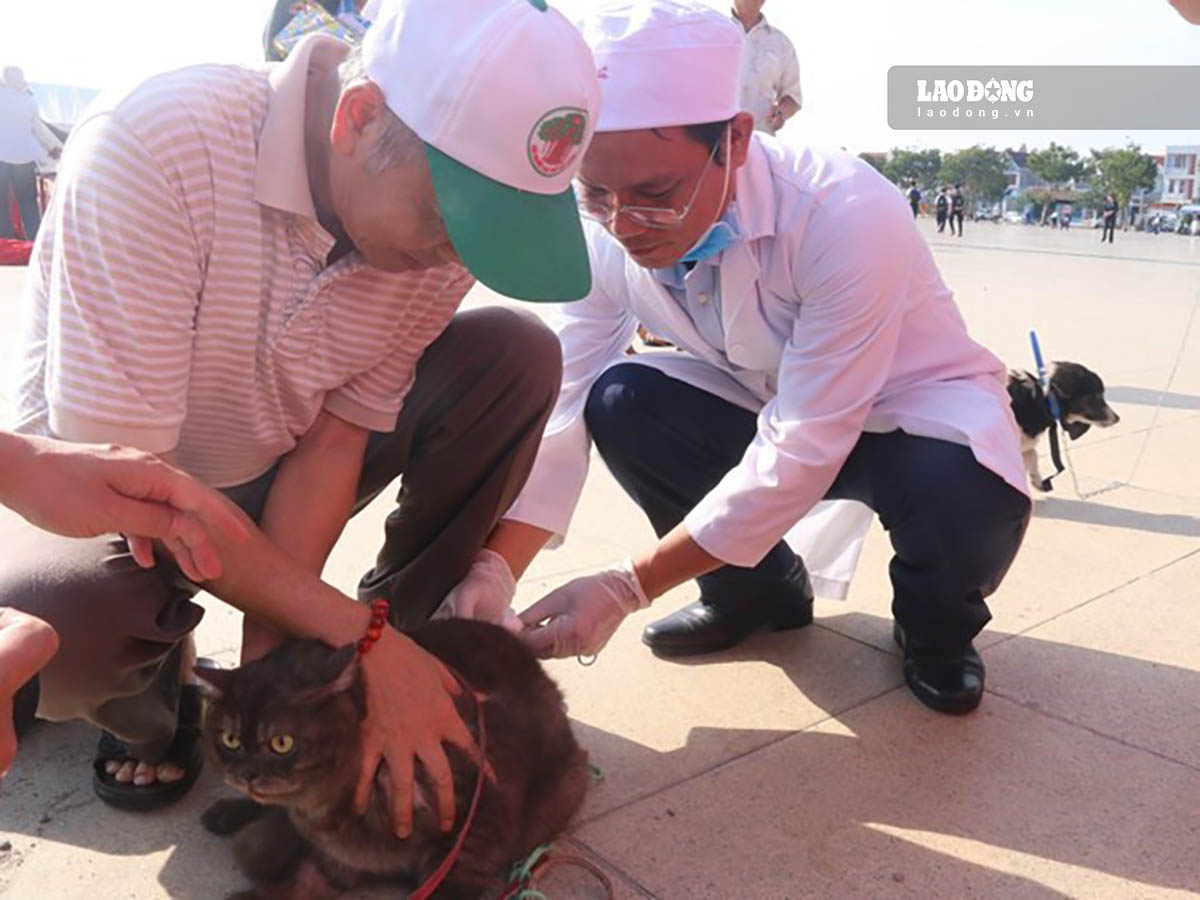 Rabies vaccination for dogs and cats in the former Ba Ria - Vung Tau area, now Ho Chi Minh City. Photo: Thanh An