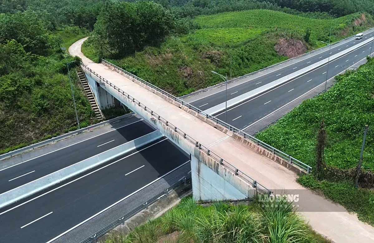 Toàn cảnh cầu Hoa Hồng bắc qua cáo tốc . Ảnh: Đoàn Hưng