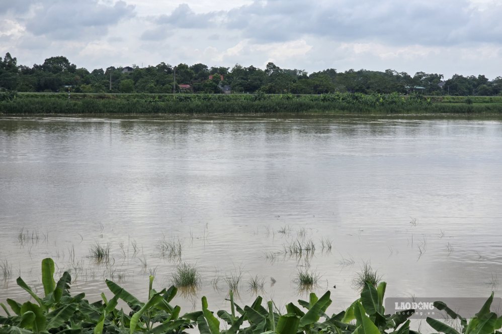 Water levels of rivers in the Red River basin are all changing slowly. Photo: To Cong