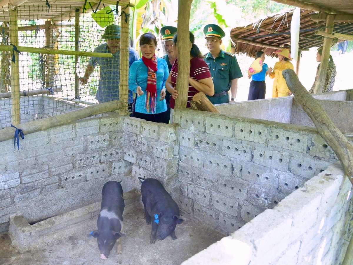 Remise de porcelets reproducteurs pour les moyens de subsistance des personnes en difficulté dans les zones frontalières. Photo: Fournie par les gardes-frontières de Hô Chi Minh-Ville