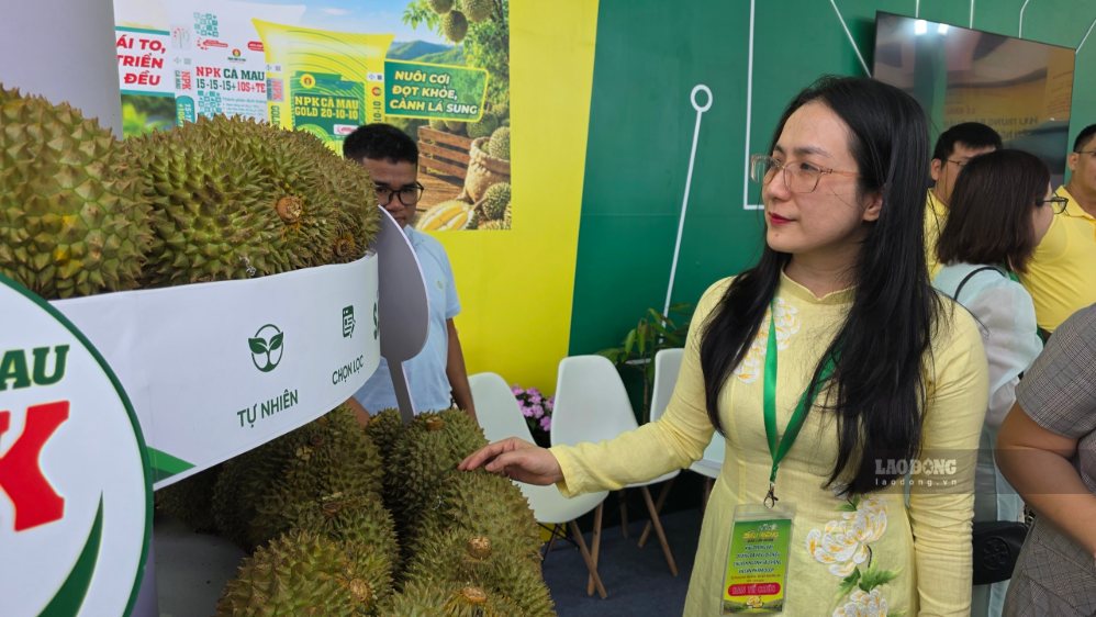 Lễ hội Sầu riêng tỉnh Đắk Lắk đang diễn ra với nhiều hoạt động sôi nổi. Ảnh: Hạnh Nguyễn
