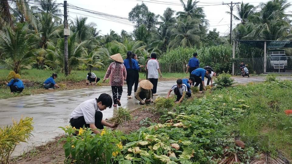 The Fatherland Front Committee of Nhuan Phu Tan commune launched a campaign to build the "Bright - Green - Clean - Beautiful" road. Photo: Hoang Loc