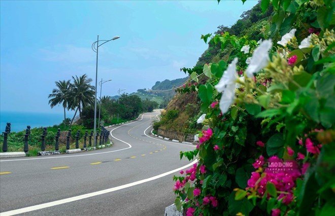 The Management Board of Son Tra Peninsula and Da Nang tourist beaches stipulates the visiting time in Son Tra. Photo: Nguyen Linh