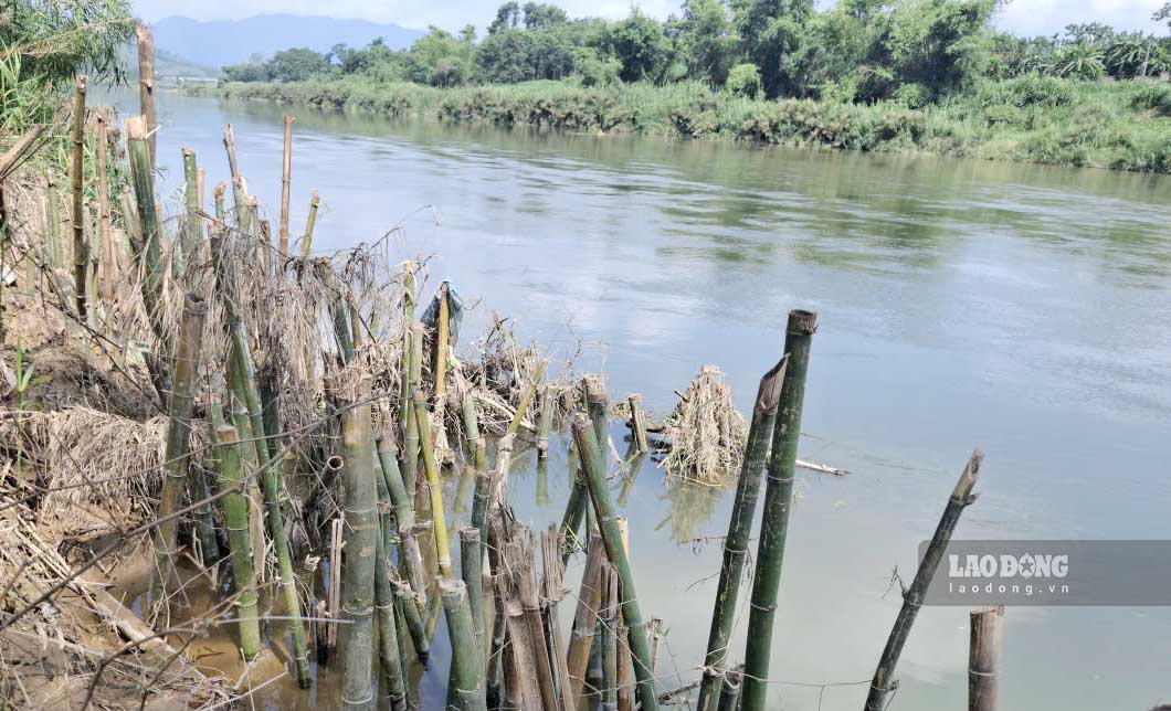 A section of the Ngan Pho River where P. drowned and died upstream. Photo: Tran Tuan
