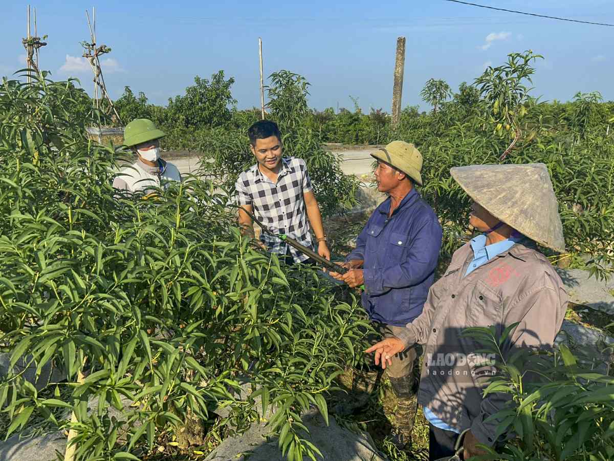 Hình ảnh trưởng thôn 9X gần gũi đã quen thuộc với người dân ở thôn Minh Tân, xã Tiên Hưng, tỉnh Hưng Yên. Ảnh: Lương Hà