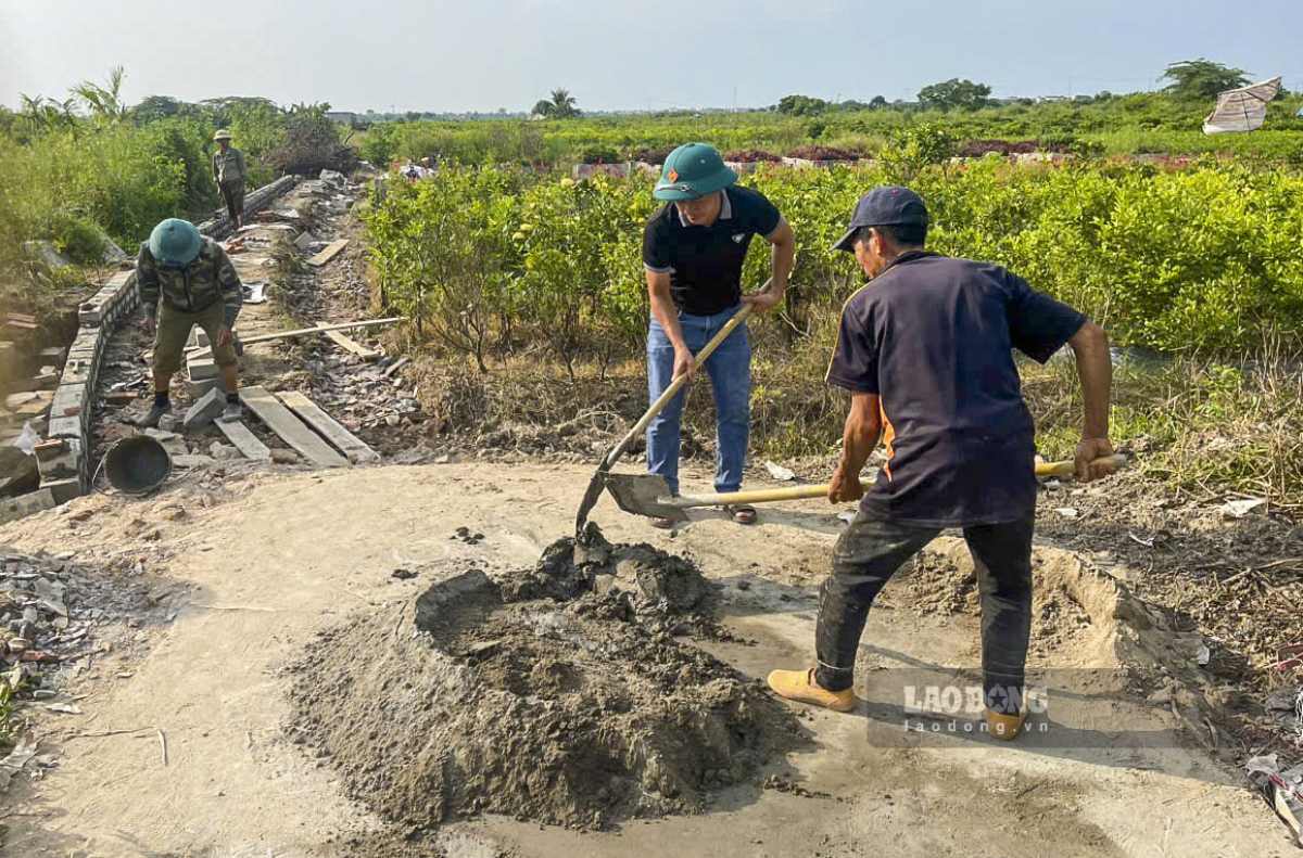 Trưởng thôn Quỳnh Vân 1 trực tiếp