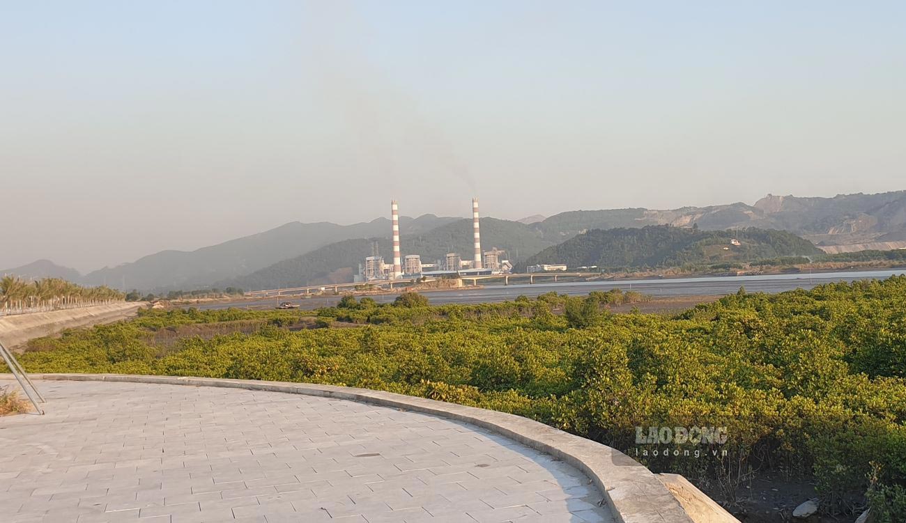 Quang Ninh Thermal Power Plant, Cao Xanh ward, Quang Ninh province. Photo: Nguyen Hung