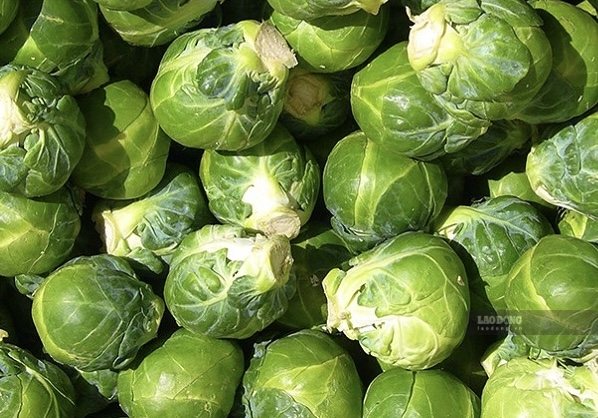 Tiny cabbage will promote the ability to supplement omega-3 when combined with some suitable foods. Photo: Kieu Vu