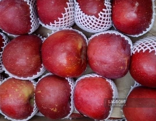 Apples rich in fiber can support weight loss, while supplementing fiber that is beneficial for the intestines. Photo: Kieu Vu.