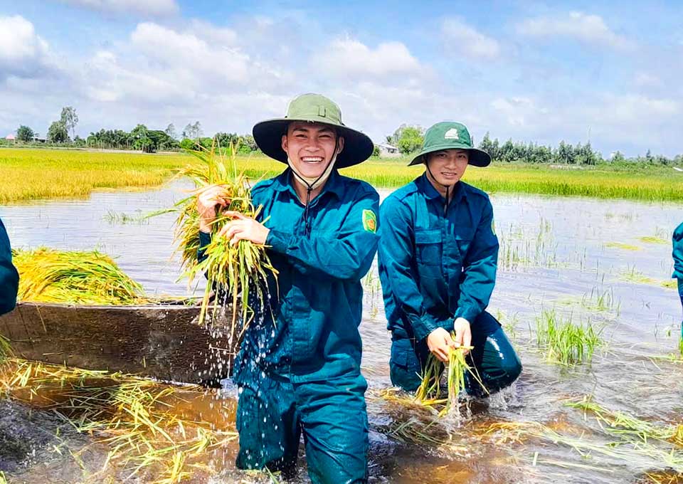 Functional forces support people in harvesting rice. Photo: Vinh Thanh Commune People's Committee