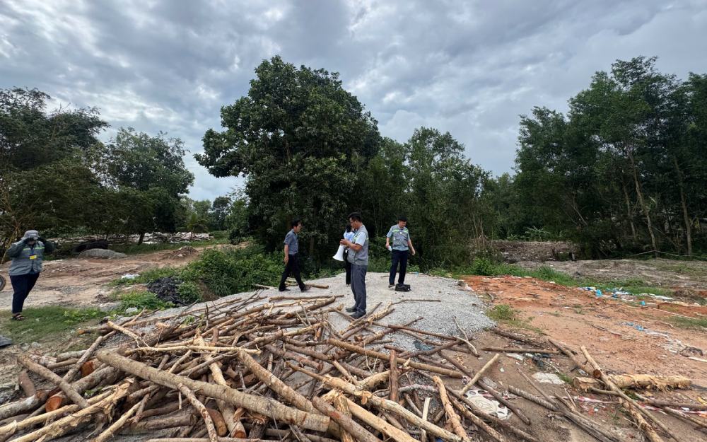 Functional forces of Phu Quoc special zone carry out coercion. Photo: Hoang Dung/Phu Quoc Special Zone General Service Center