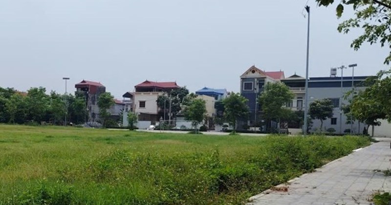 Ministry of Agriculture and Environment responds to agricultural land in residential areas