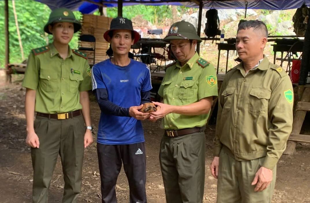 People hand over rare sand turtles to functional forces. Photo: Dong Le Commune Police