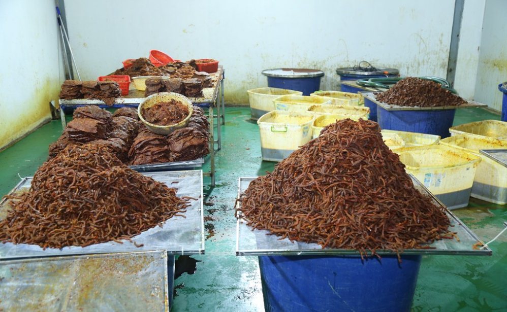 Nguyên liệu đang được chế biến. Ảnh: Công an TP Đồng Nai