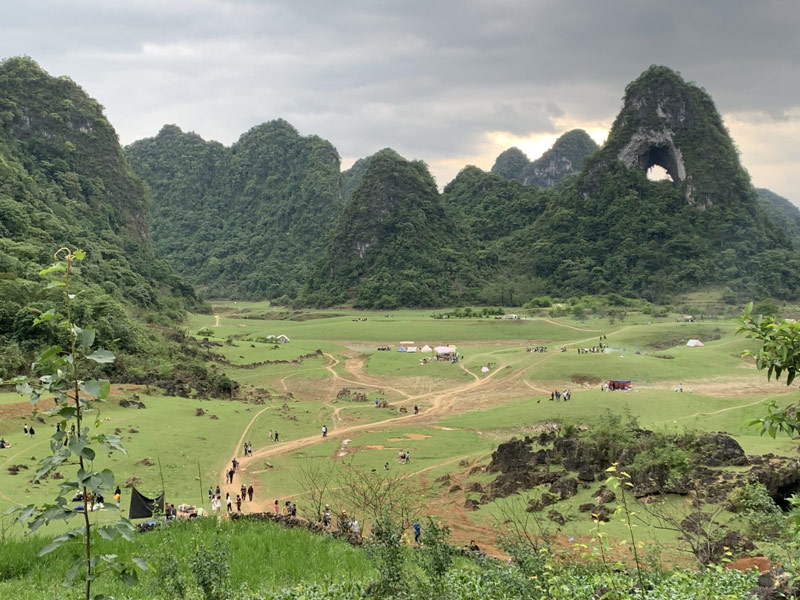 Thảo nguyên xanh mướt