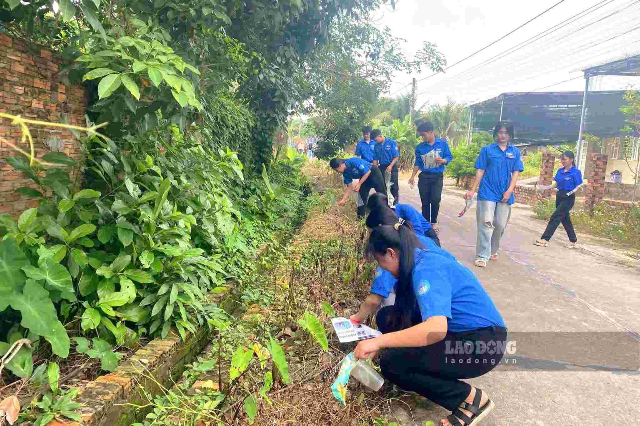 Lam Dong health sector is preventing dengue fever epidemics from developing complicatedly during the rainy season. Photo: Dang Hien