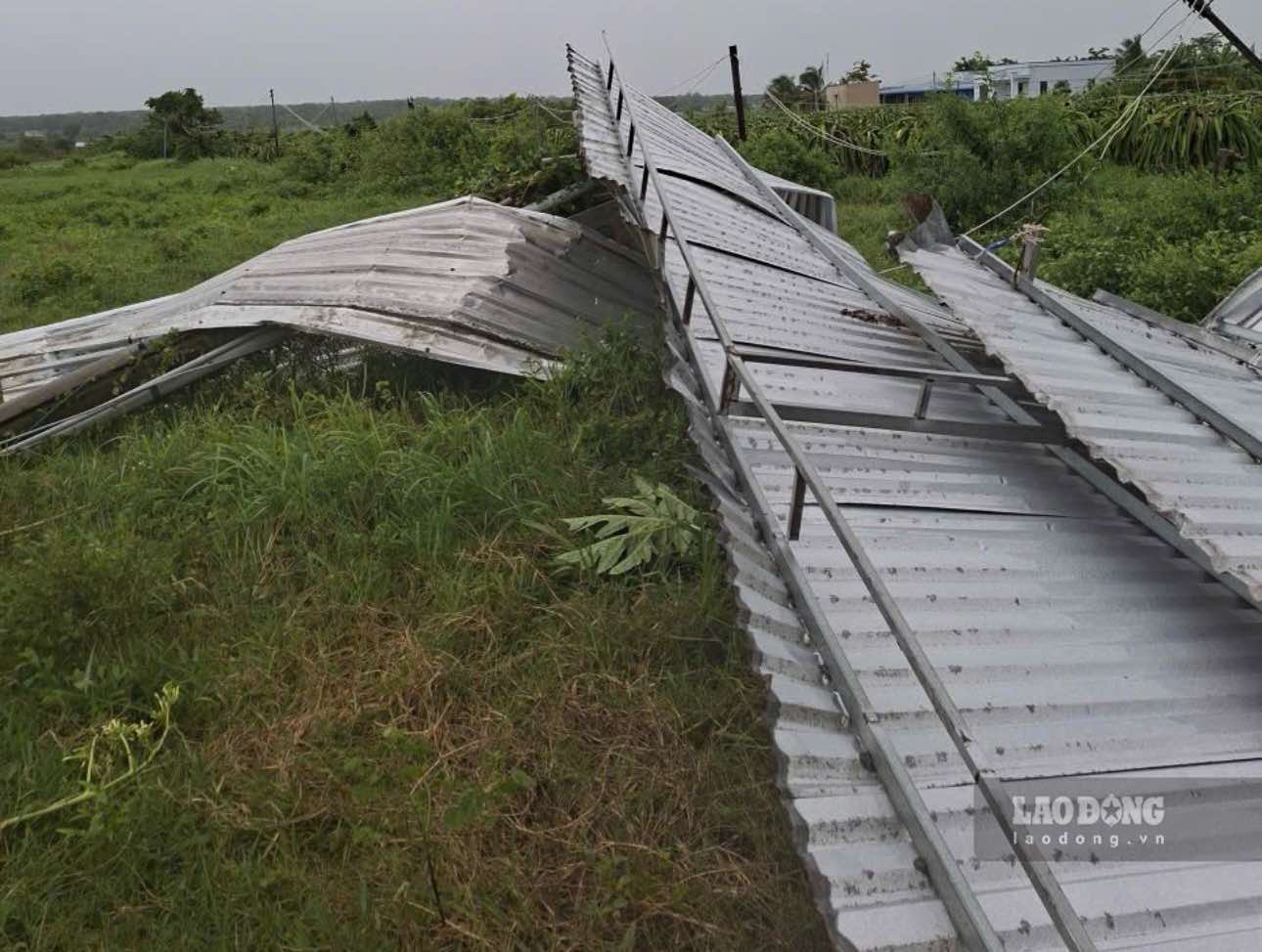 Mái tôn của nhà dân do mưa lớn kèm lốc xoáy cuốn bay. Ảnh: Phạm Duy