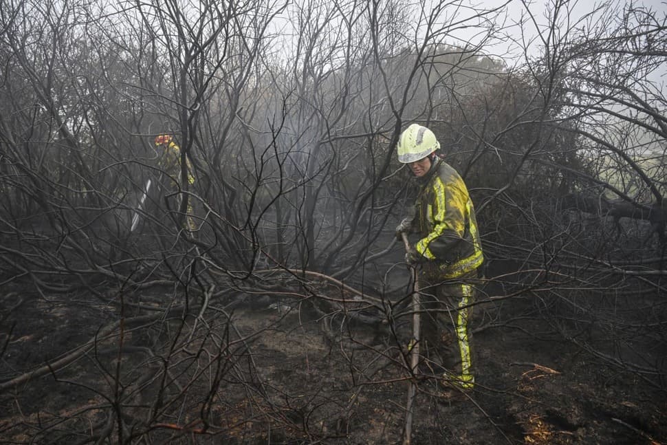 Firefighters working in the area burned down by forest fires in the High Fens nature reserve, Belgium. Photo: AFP