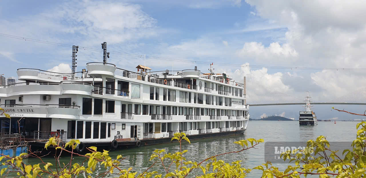 Ngày càng xuất hiện nhiều tàu du lịch hiện đại, đẹp và lớn trên vịnh Hạ Long. Ảnh: Nguyễn Hùng