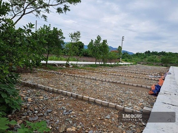 Land plot prices in some areas decrease sharply. Photo: Binh Nguyen