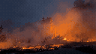 Hue City Border Guard controls vegetation fire after acacia exploitation. Photo: Hue City Border Guard