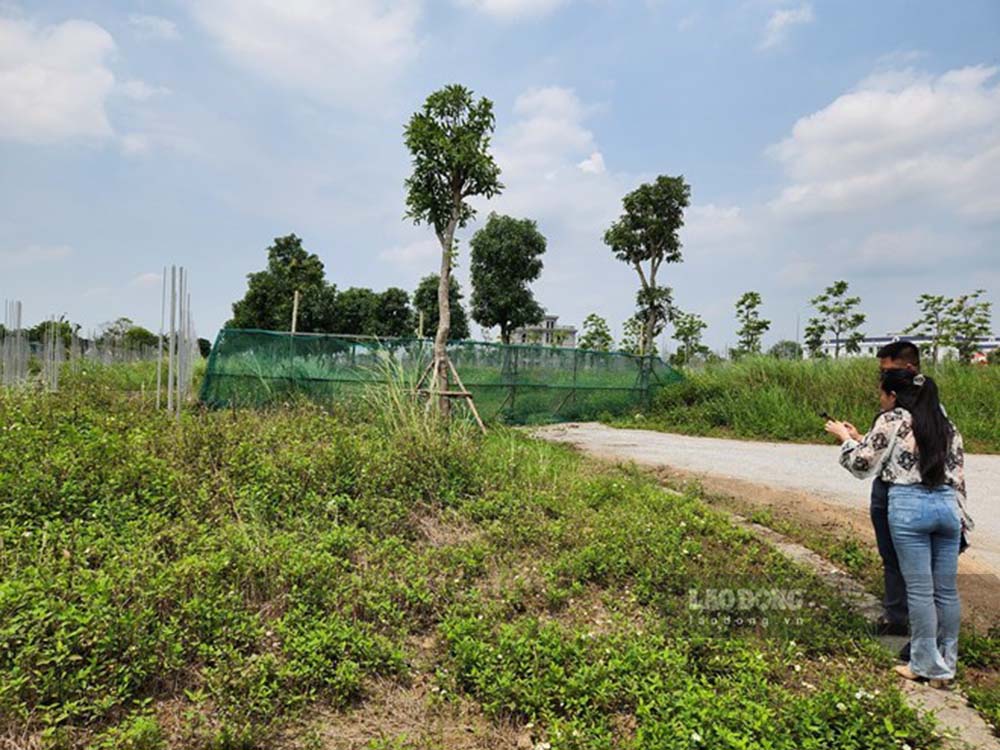 The Government clearly states that the land price orientation is decided by the State based on data, scientific methods, publicity, and transparency. Photo: Cao Nguyen