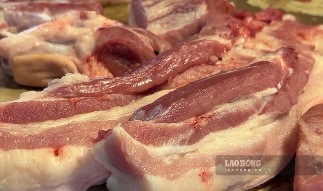 Live hog prices have increased again. Photo: Thuy Linh