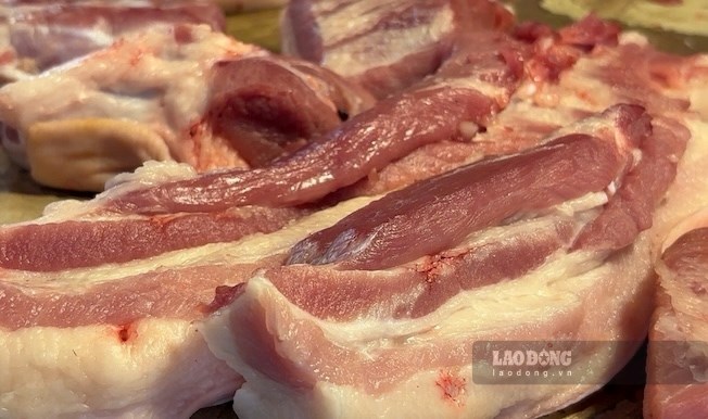 Giá heo hơi hôm nay 19.8: Dứt chuỗi giảm, tăng lên cao nhất là 58.000 đồng/kg