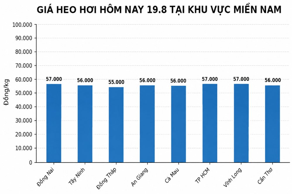 Giá heo hơi hôm nay 19.8 tại khu vực miền Nam. Đồ họa sử dụng AI
