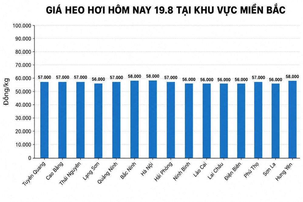 Giá heo hơi hôm nay 19.8 tại khu vực miền Bắc. Đồ họa sử dụng AI