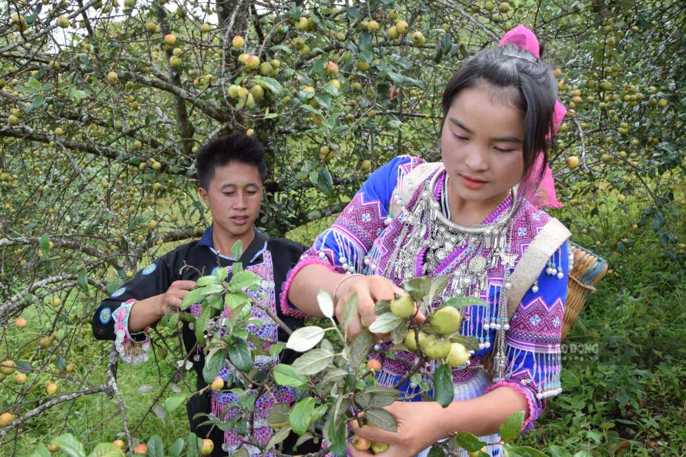 Ngọc Chiến sẵn sàng đón khách du lịch dịp 2.9. Ảnh: Trường Sơn