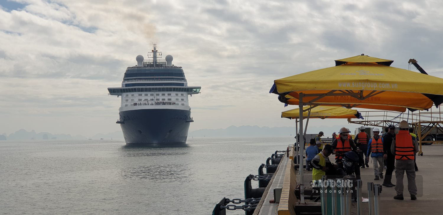 Tourism stimulus policies will be applied to international cruise passengers through Ha Long International Passenger Port. Pictured is a super luxury cruise ship preparing to dock at Ha Long International Passenger Port, Bai Chay ward. Photo: Nguyen Hung