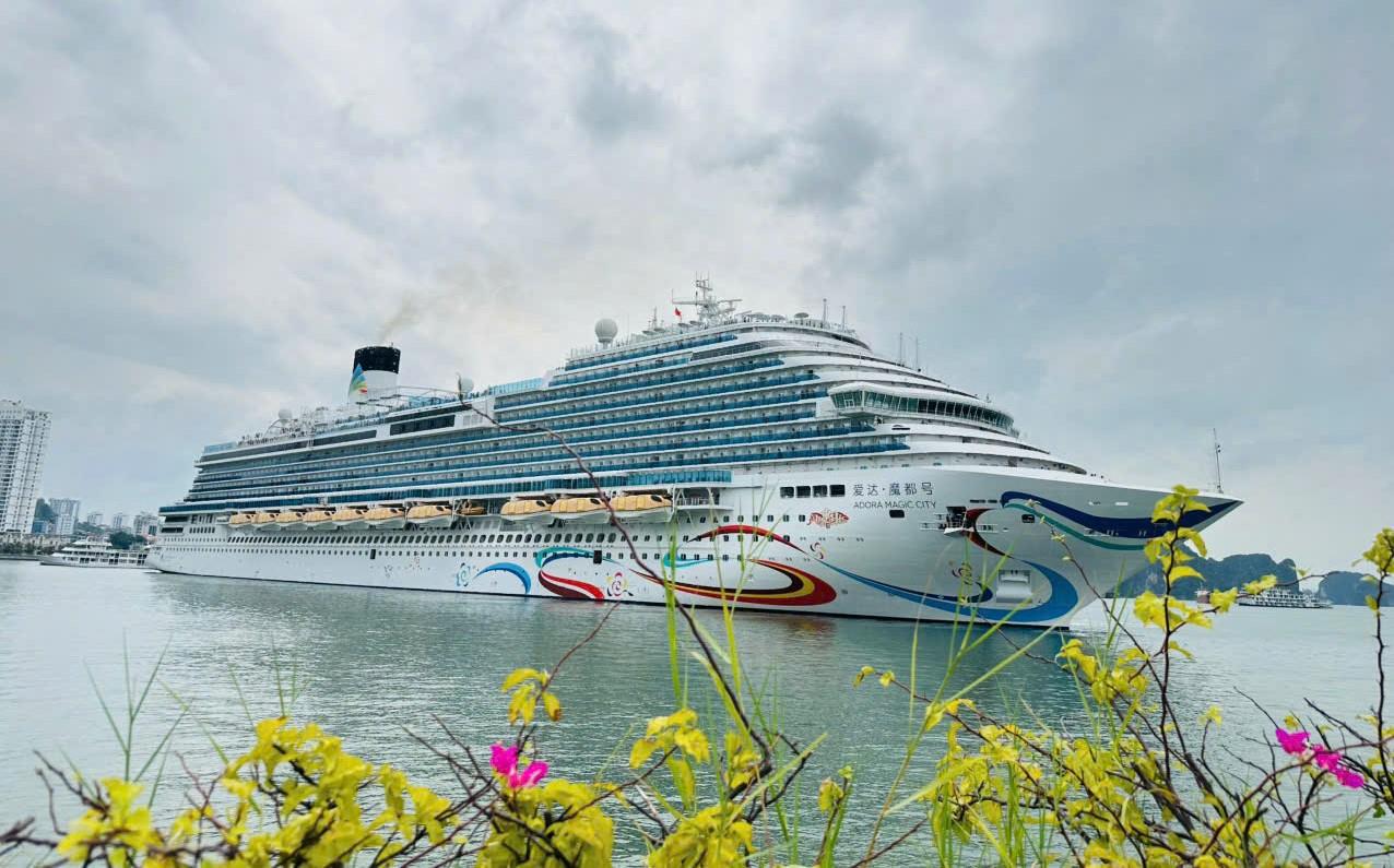 Super ship Adora Magic City at Ha Long International Passenger Port on the morning of August 19, 2026. Photo: Ha Long International Passenger Port