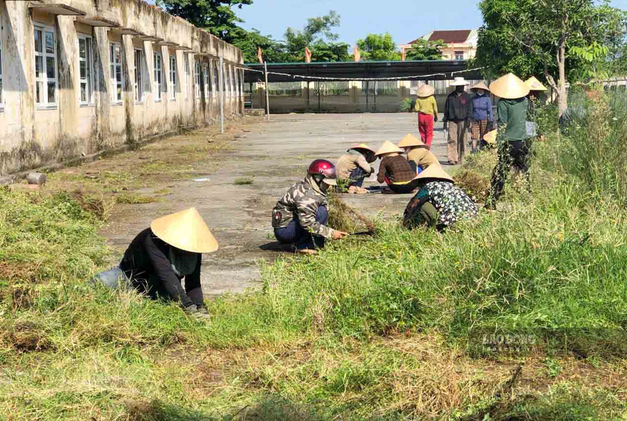 Trường THCS Sơn Lộc đã huy động giáo viên tham gia vệ sinh trường lớp, cắt dọn cỏ từ đầu tháng 8. Ảnh: Trần Tuấn