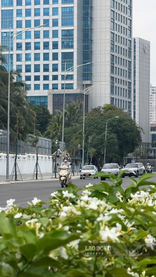 Vành đai 1 Hà Nội tăng tốc, nhiều đoạn được trải nhựa, cây xanh phủ kín dải phân cách
