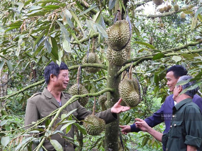 Dliê Ya nhân rộng điển hình tiên tiến để người dân phát triển kinh tế