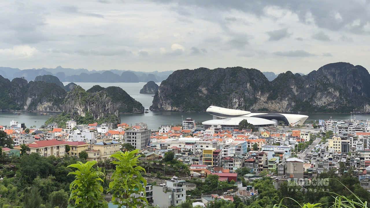 A corner of Ha Long ward - the central ward of Quang Ninh province. Photo: Nguyen Hung